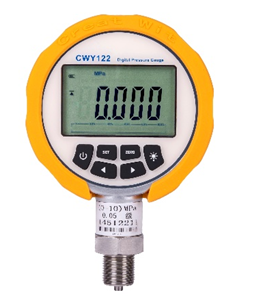 CWY122 Digital Pressure Gauge